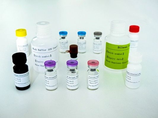 혈청 혈장 TB-IGRA