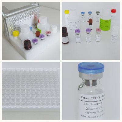 혈청 혈장 TB-IGRA