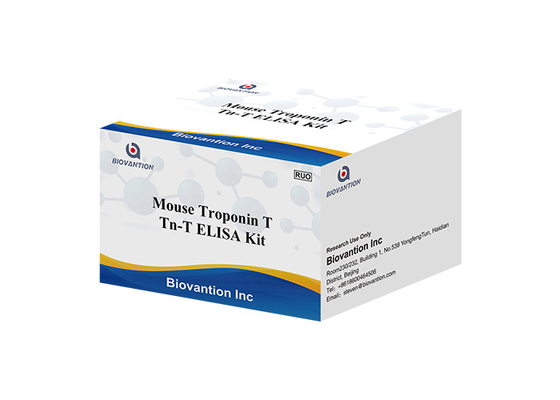 ELISA 검출 반응기 키트 높은 정확성 트로포닌 I (( CTnl)) 테스트 ELISA 테스트 키트 병원 사용