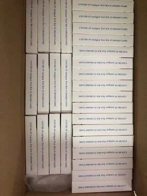 COVID-19 항원 침 검사 키트