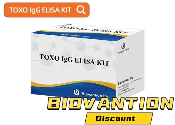 TOXO Ig G 질병 모니터링을 위한 민감하고 특수한 Elisa 테스트 키트