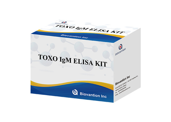 TOXO Ig G 질병 모니터링을 위한 민감하고 특수한 Elisa 테스트 키트