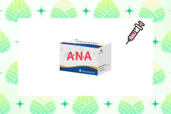 감수성 ANA 스크린 IgG 엘리사 테스트 키트 2-8°C의 혈청/플라즈마 검출