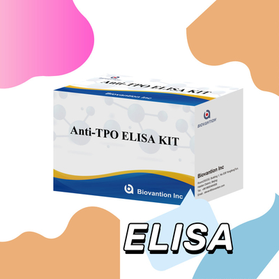 민감한 갑상선 peroxidase 항체 인간 진단용 Elisa 테스트 키트