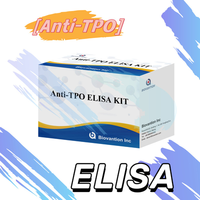 민감한 갑상선 peroxidase 항체 인간 진단용 Elisa 테스트 키트