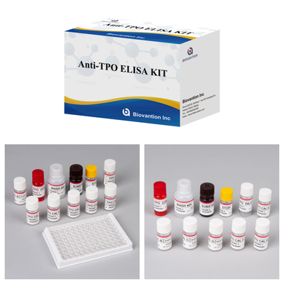 민감한 갑상선 peroxidase 항체 인간 진단용 Elisa 테스트 키트