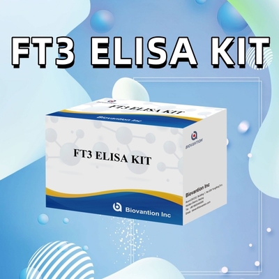 FT3 무료 트라이오도티로닌 인간 진단 반응기 키트 96T ELISA 테스트를 가진 클리닉 병원 실험실