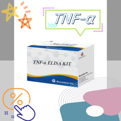 TNF-α RUO 엘리사 검사 혈청 플라스마 연구용 정확하고 편리한 진단 솔루션