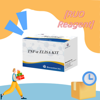 TNF-α RUO 엘리사 검사 혈청 플라스마 연구용 정확하고 편리한 진단 솔루션