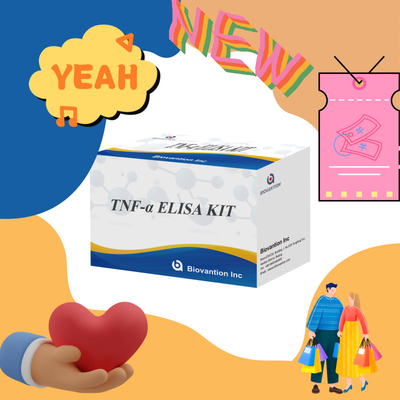 TNF-α RUO 엘리사 검사 혈청 플라스마 연구용 정확하고 편리한 진단 솔루션