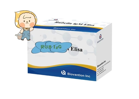 루벨라 IgG ELisa 테스트 키트 임신부 사용