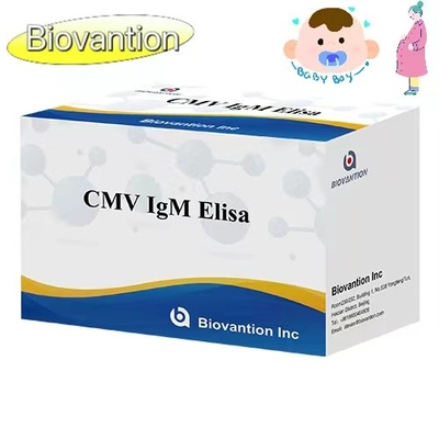 CMV IgM ELISA 키트 높은 정확성 임산부 예방 검사