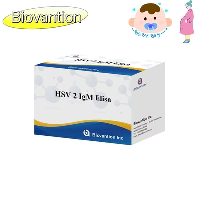 HSV 2 IgM 토치 ELISA 테스트 키트 사용 지침