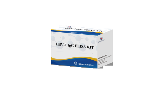 HSV 1 IgG 토치 ELISA 테스트 키트 고온 판매 진단 반응기 IVD