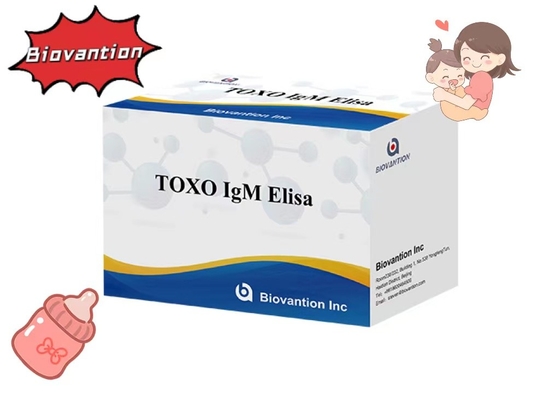 TOXO IgM ELISA 테스트 키트 타치 고민성 병원 검사 임신 검사