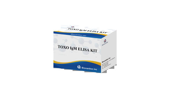 TOXO IgM ELISA 테스트 키트 타치 고민성 병원 검사 임신 검사