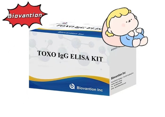 타치 고민성 TOXO IgG ELISA 테스트 키트 병원 검사 임신 검사