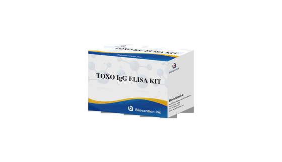 타치 고민성 TOXO IgG ELISA 테스트 키트 병원 검사 임신 검사