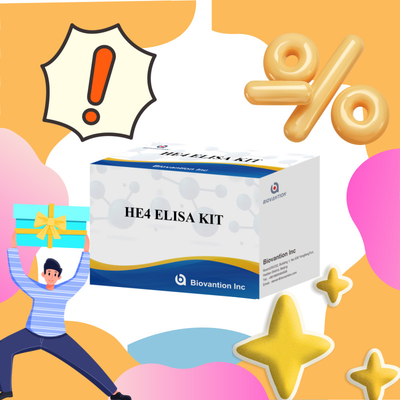 의료 진단 HE4 ELISA KITS를 위한 민감하고 신뢰할 수 있는 ELISA 검사 키트