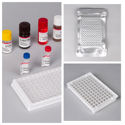 HIV Ab Ag Elisa 테스트 키트 18개월의 유효기간과 높은 민감성/특수성