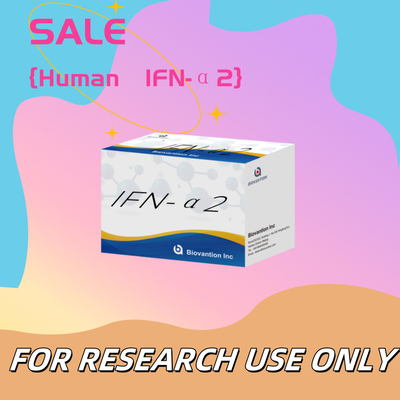 연구용 인체 IFN-α2 엘리사 반응기 키트 엘리사 반응기 높은 민감성