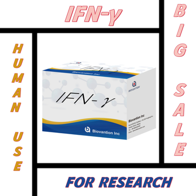 실험실 연구 인용 Elisa Reagents Kit IFN-γ Elisa Reagents 높은 민감성