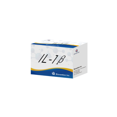 인간 엘리사 인간 인터루킨 1β ((IL-1β) 연구용으로만