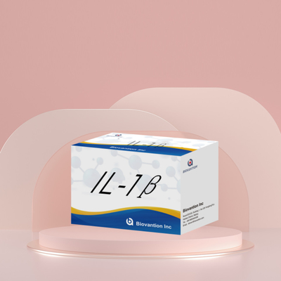 인간 엘리사 인간 인터루킨 1β ((IL-1β) 연구용으로만