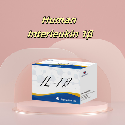 인간 엘리사 인간 인터루킨 1β ((IL-1β) 연구용으로만