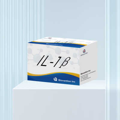 인간 엘리사 인간 인터루킨 1β ((IL-1β) 연구용으로만