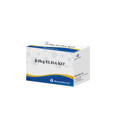 β-hCG (량적) 1시간 엘리사 항체 민감성 및 특수성 검사 키트