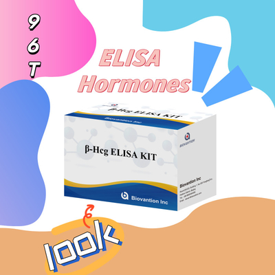 β-hCG (량적) 1시간 엘리사 항체 민감성 및 특수성 검사 키트
