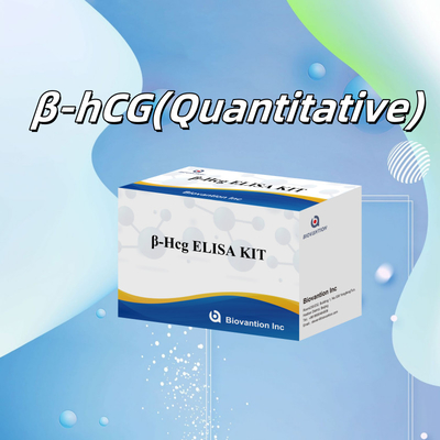 β-hCG (량적) 1시간 엘리사 항체 민감성 및 특수성 검사 키트
