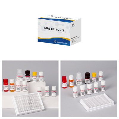 β-hCG (량적) 1시간 엘리사 항체 민감성 및 특수성 검사 키트