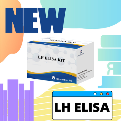 진단용 바이오벤션 ELISA 테스트 키트 인간 루테이니제 호르몬 LH (량적) 호르몬 검출