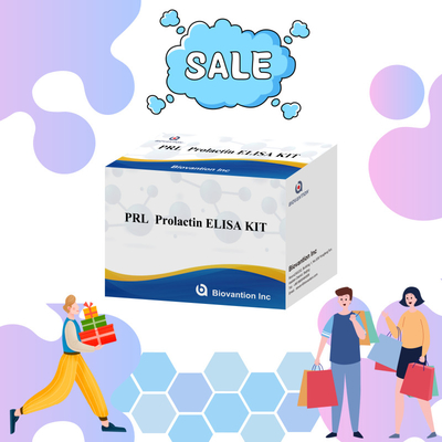 PRL 양적 인성 호르몬 진단 검출 반응기 키트