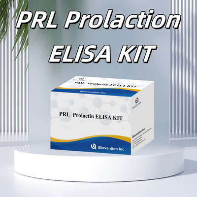 PRL 양적 인성 호르몬 진단 검출 반응기 키트