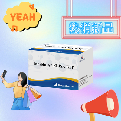 감수성 인간 혈청에서 디메릭 인히빈 A의 in vitro 정량 결정을 위한 Elisa 테스트