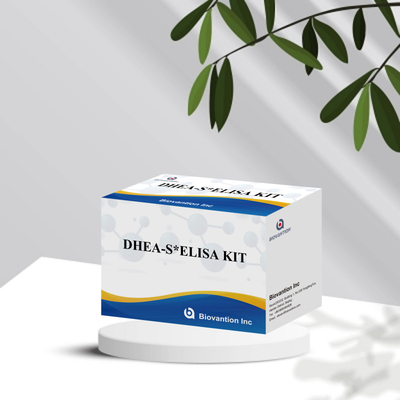 바이오반션 테스트 디하이드로피안드로스테론 수 Sulfate DHEA-S 감수성 Elisa 테스트 키트