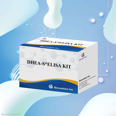 바이오반션 테스트 디하이드로피안드로스테론 수 Sulfate DHEA-S 감수성 Elisa 테스트 키트