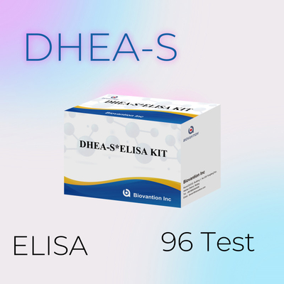 바이오반션 테스트 디하이드로피안드로스테론 수 Sulfate DHEA-S 감수성 Elisa 테스트 키트