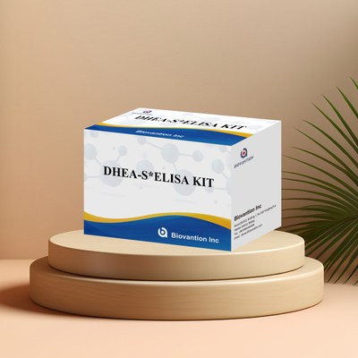 바이오반션 테스트 디하이드로피안드로스테론 수 Sulfate DHEA-S 감수성 Elisa 테스트 키트