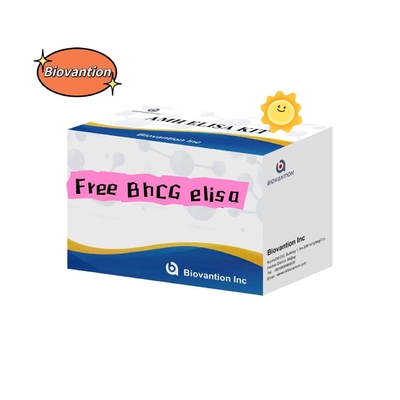무료 BhCG 엘리사 테스트 키트 세럼 보관 2- 8. C 18 입 내 사용 시 유효기간