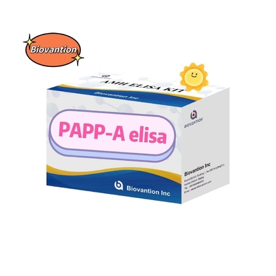 PAPP-A 엘리사 테스트 키트 감수성 세로학적 검출 진단 키트