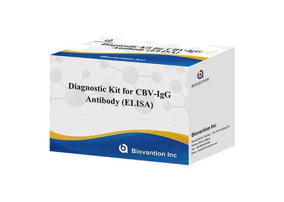 CBV-IgG 항체 ELISA 검사 키트