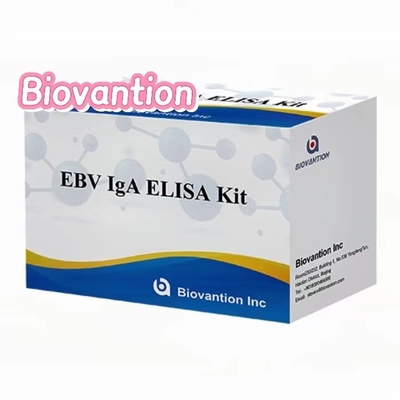 EBNA1 에 대한 IgA 항체 엘리사 테스트 키트 세럼 50μL 샘플 키트 형식