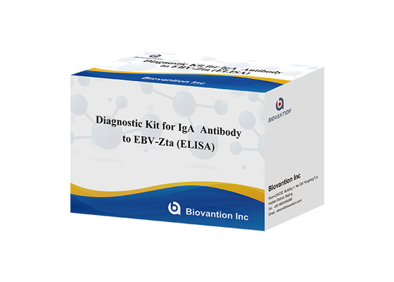 EBV-Zta 에 대한 IgA 항체 진단 키트 ELISA 테스트 키트 면역 흡수 검사 키트