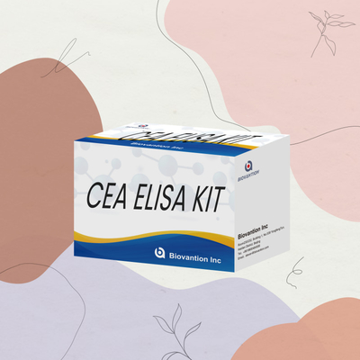 CE 승인 인간용 CEA 양적 Elisa 테스트 키트 혈액 또는 혈청 96T