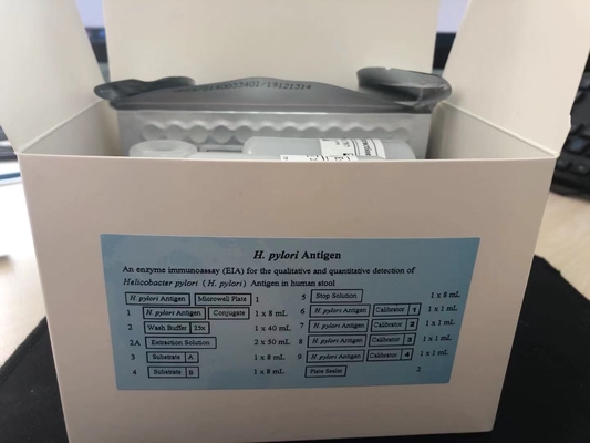 H Pylori Ab 스트립 급검증 키트 카세트 위장 질환 급검증