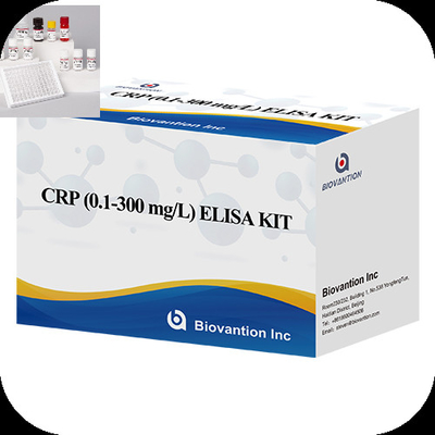CRP 0.1-300 Mg/L 특이성 1시간 빠른 검사 시간으로 Elisa 테스트 키트